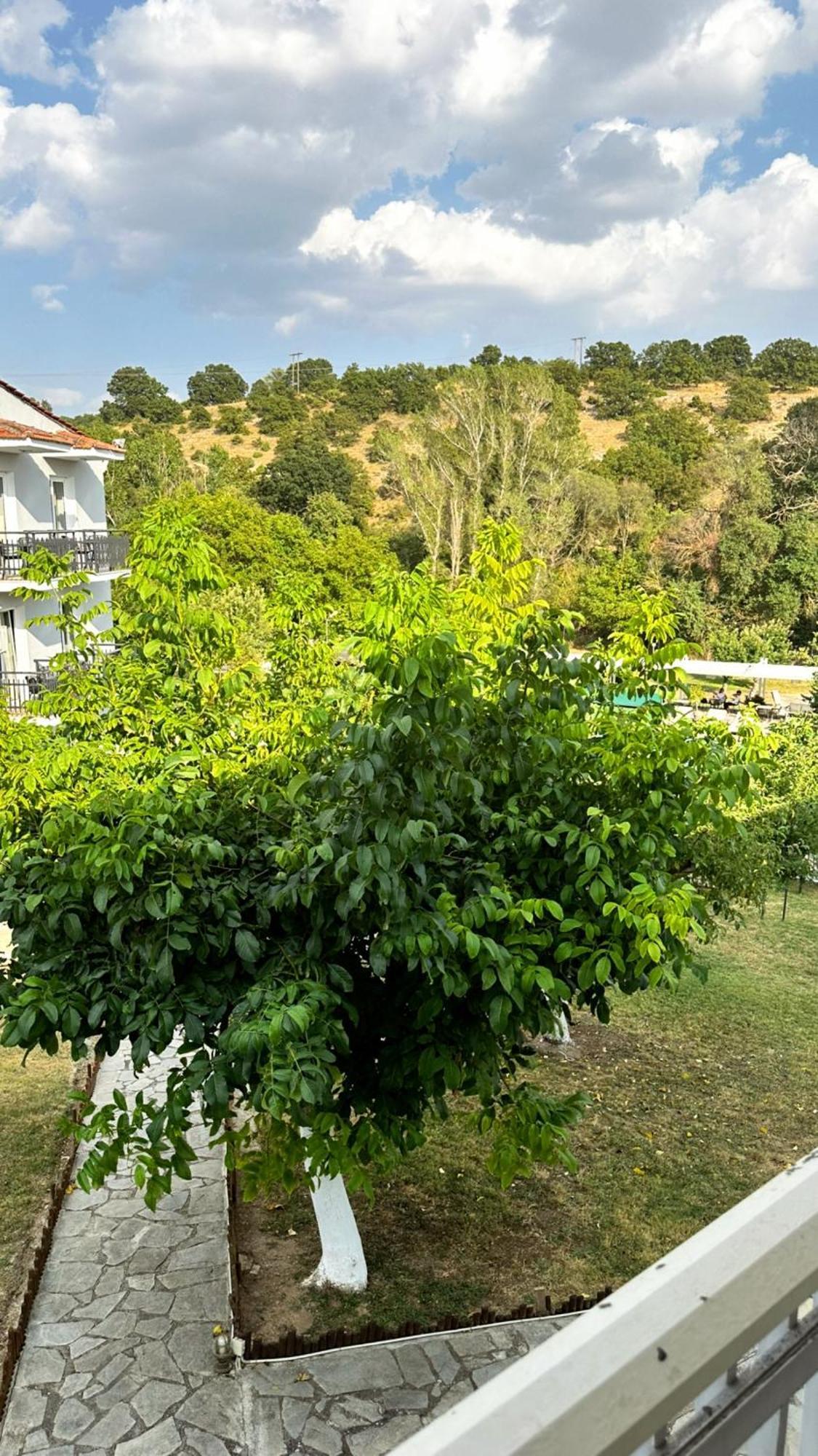 Tselikas Hotel Kozani Bilik gambar
